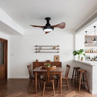 Faryuan 25 Inch Ceiling Fan with LED Light