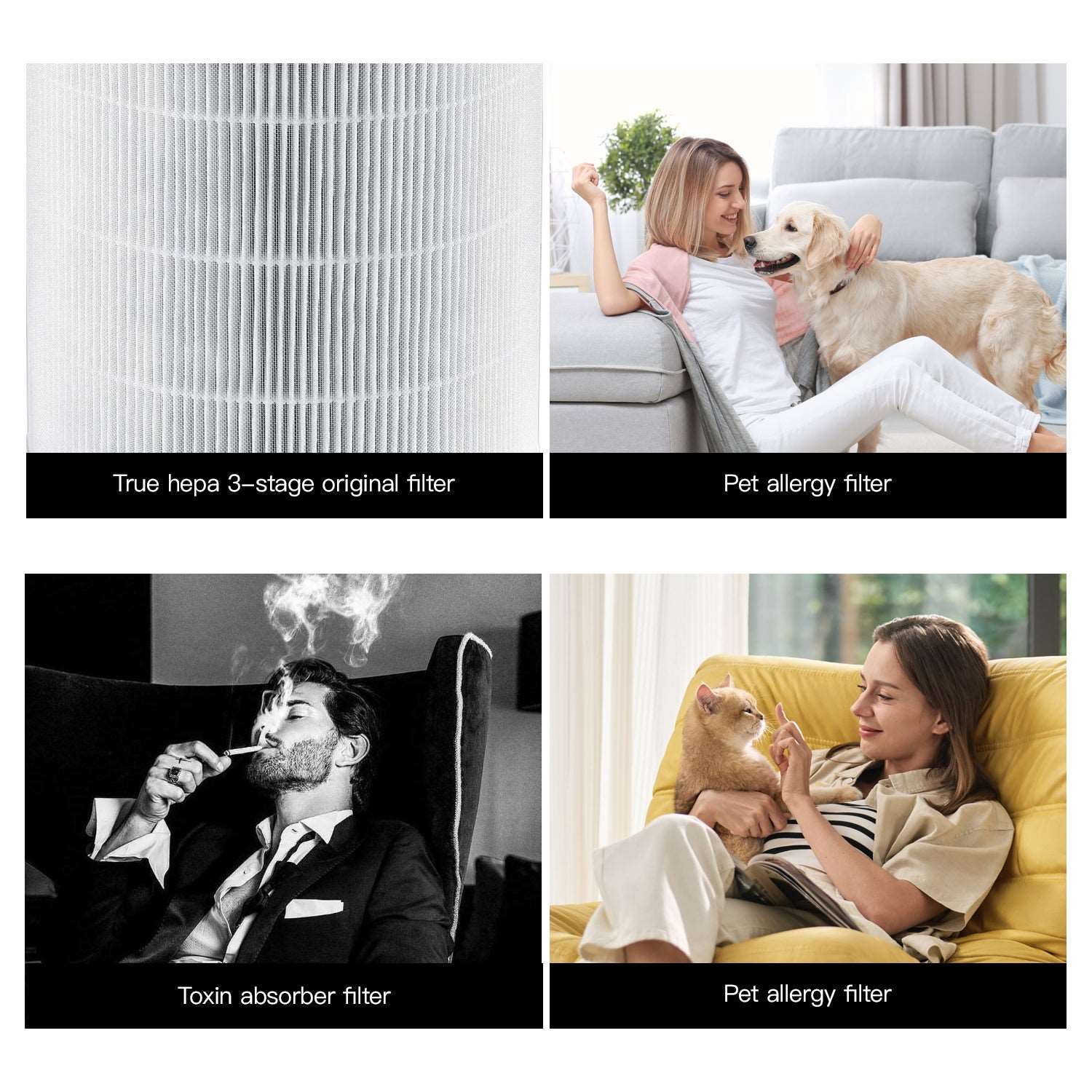 hepa filter can remove dust  pollution