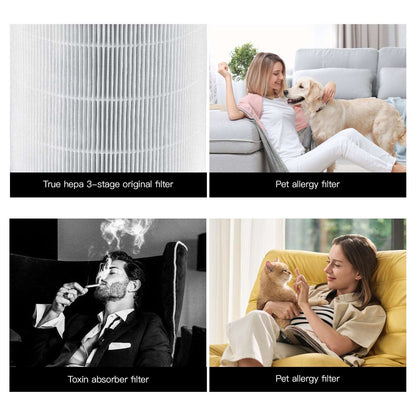 hepa filter can remove dust  pollution